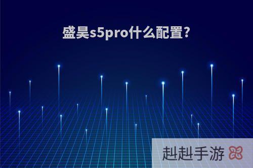 盛昊s5pro什么配置?