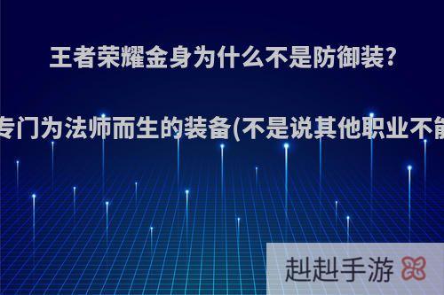 王者荣耀金身为什么不是防御装?而是专门为法师而生的装备(不是说其他职业不能出)?