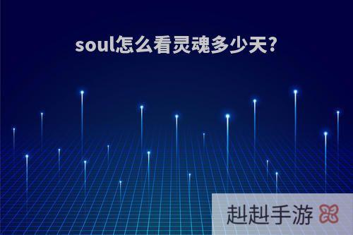 soul怎么看灵魂多少天?