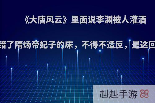 《大唐风云》里面说李渊被人灌酒，上错了隋炀帝妃子的床，不得不造反，是这回事吗?