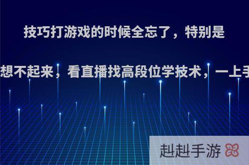 技巧打游戏的时候全忘了，特别是打团什么技巧都想不起来，看直播找高段位学技术，一上手都忘了怎么办?