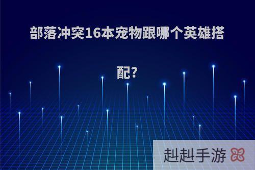 部落冲突16本宠物跟哪个英雄搭配?