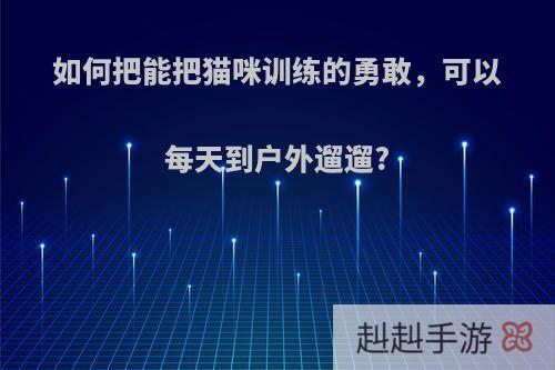 如何把能把猫咪训练的勇敢，可以每天到户外遛遛?