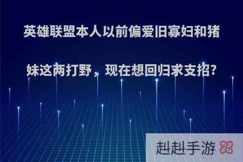 英雄联盟本人以前偏爱旧寡妇和猪妹这两打野，现在想回归求支招?