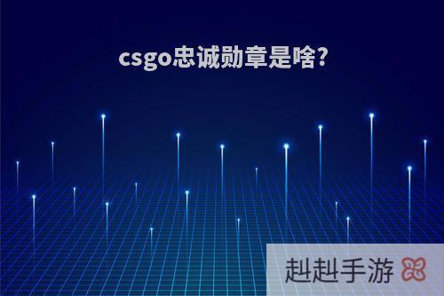 csgo忠诚勋章是啥?