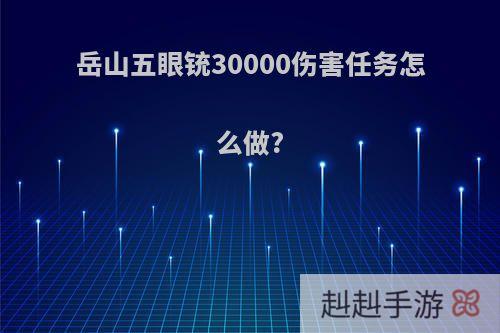 岳山五眼铳30000伤害任务怎么做?