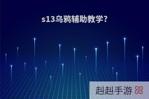 s13乌鸦辅助教学?