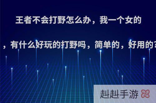 王者不会打野怎么办，我一个女的，有什么好玩的打野吗，简单的，好用的?