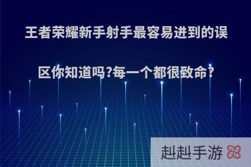 王者荣耀新手射手最容易进到的误区你知道吗?每一个都很致命?