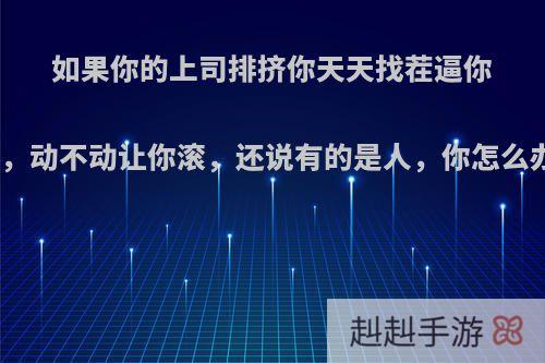 如果你的上司排挤你天天找茬逼你走，动不动让你滚，还说有的是人，你怎么办?