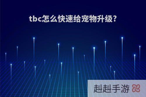 tbc怎么快速给宠物升级?