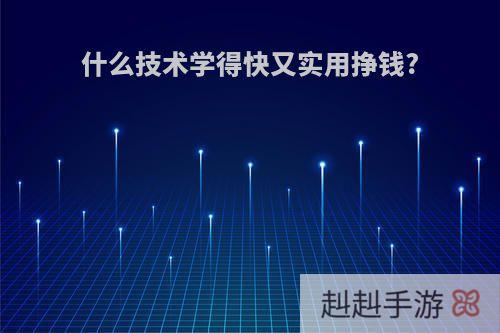 什么技术学得快又实用挣钱?