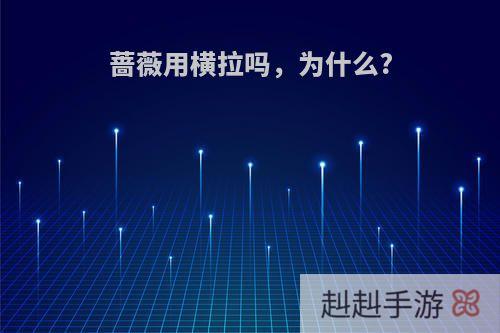 蔷薇用横拉吗，为什么?