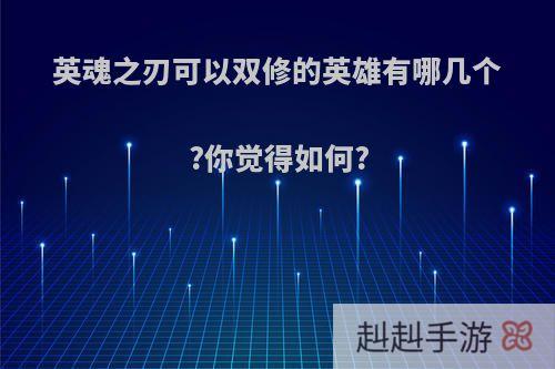 英魂之刃可以双修的英雄有哪几个?你觉得如何?