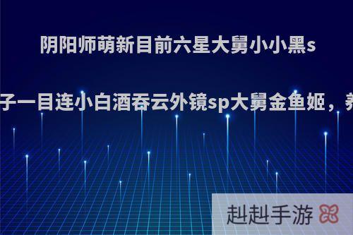 阴阳师萌新目前六星大舅小小黑ssr鬼切狗子一目连小白酒吞云外镜sp大舅金鱼姬，养什么好?