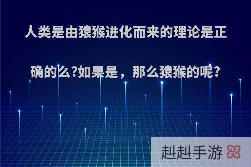 人类是由猿猴进化而来的理论是正确的么?如果是，那么猿猴的呢?