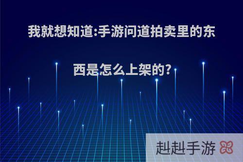 我就想知道:手游问道拍卖里的东西是怎么上架的?