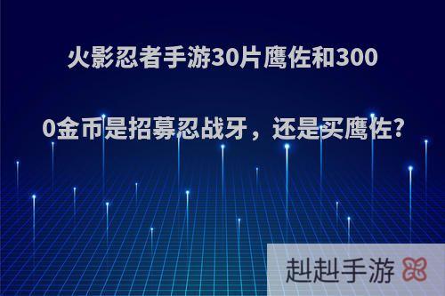 火影忍者手游30片鹰佐和3000金币是招募忍战牙，还是买鹰佐?