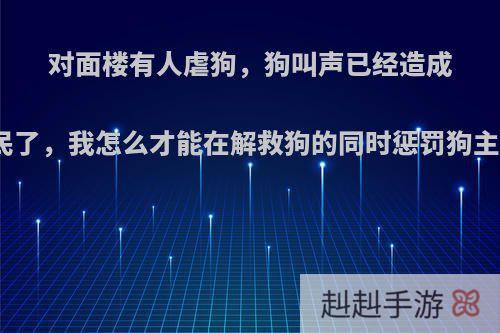 对面楼有人虐狗，狗叫声已经造成扰民了，我怎么才能在解救狗的同时惩罚狗主人?