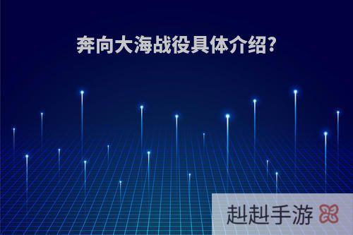 奔向大海战役具体介绍?