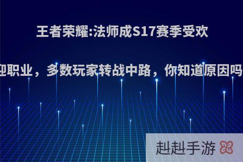 王者荣耀:法师成S17赛季受欢迎职业，多数玩家转战中路，你知道原因吗?