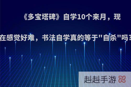 《多宝塔碑》自学10个来月，现在感觉好难，书法自学真的等于