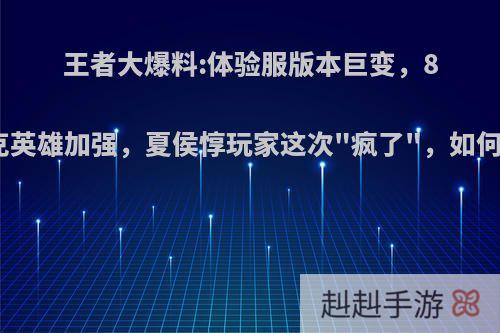 王者大爆料:体验服版本巨变，8个坦克英雄加强，夏侯惇玩家这次