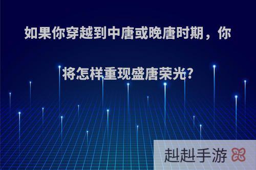 如果你穿越到中唐或晚唐时期，你将怎样重现盛唐荣光?