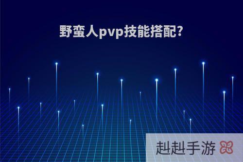 野蛮人pvp技能搭配?