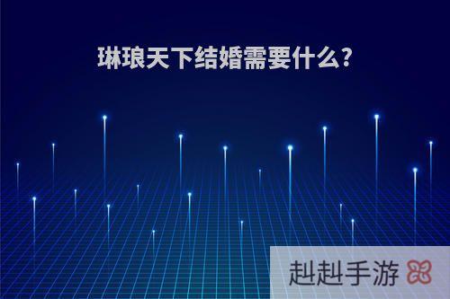 琳琅天下结婚需要什么?