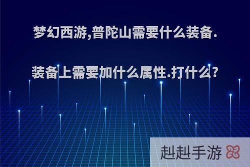 梦幻西游,普陀山需要什么装备.装备上需要加什么属性.打什么?