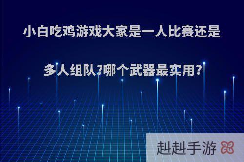 小白吃鸡游戏大家是一人比赛还是多人组队?哪个武器最实用?