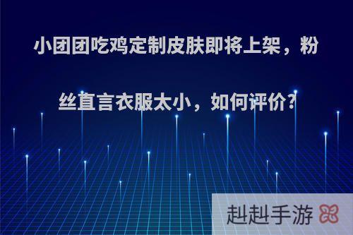 小团团吃鸡定制皮肤即将上架，粉丝直言衣服太小，如何评价?