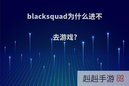 blacksquad为什么进不去游戏?