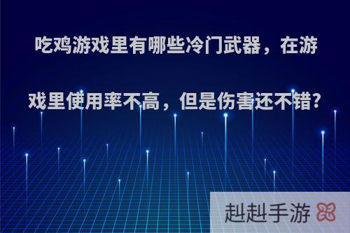 吃鸡游戏里有哪些冷门武器，在游戏里使用率不高，但是伤害还不错?