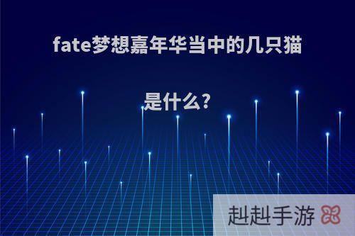 fate梦想嘉年华当中的几只猫是什么?