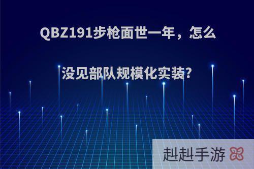 QBZ191步枪面世一年，怎么没见部队规模化实装?