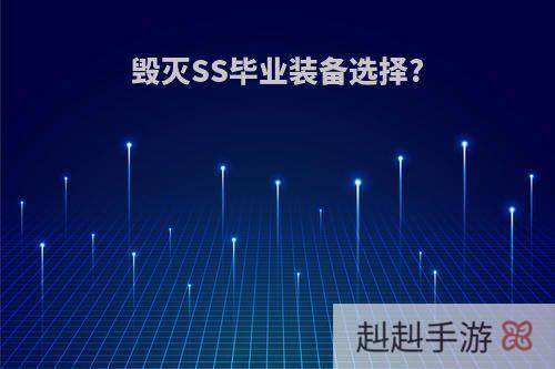 毁灭SS毕业装备选择?