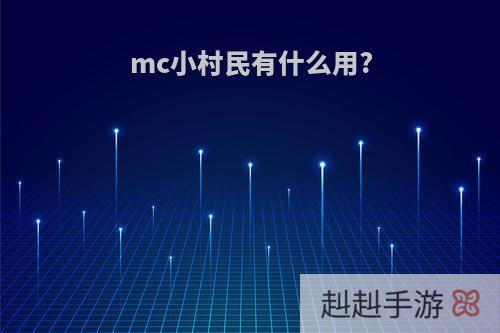 mc小村民有什么用?