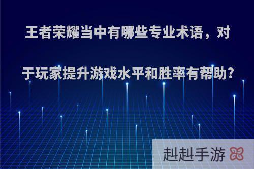 王者荣耀当中有哪些专业术语，对于玩家提升游戏水平和胜率有帮助?