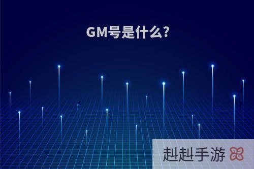 GM号是什么?