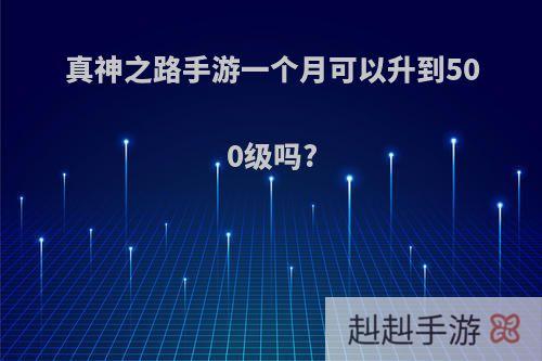 真神之路手游一个月可以升到500级吗?