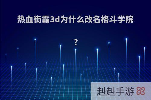 热血街霸3d为什么改名格斗学院?