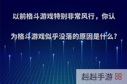 以前格斗游戏特别非常风行，你认为格斗游戏似乎没落的原因是什么?