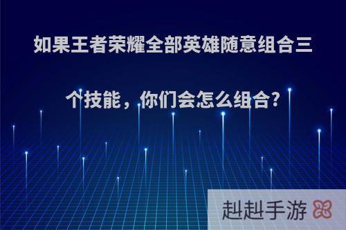 如果王者荣耀全部英雄随意组合三个技能，你们会怎么组合?