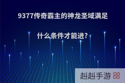 9377传奇霸主的神龙圣域满足什么条件才能进?