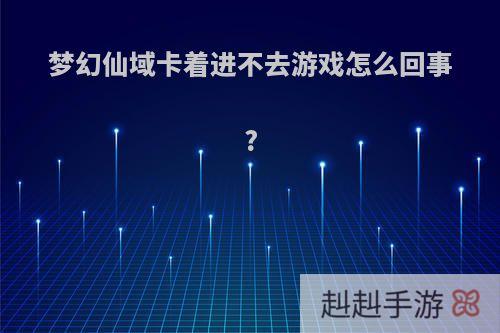 梦幻仙域卡着进不去游戏怎么回事?