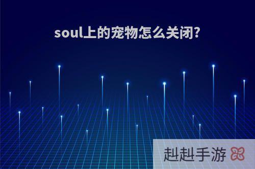 soul上的宠物怎么关闭?