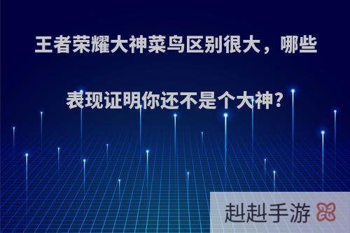 王者荣耀大神菜鸟区别很大，哪些表现证明你还不是个大神?