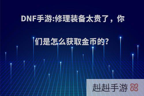 DNF手游:修理装备太贵了，你们是怎么获取金币的?